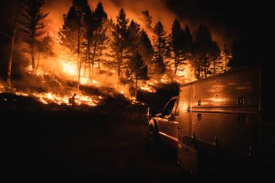 Wildfire Burn